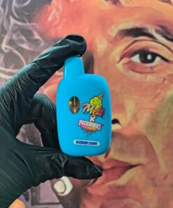 Melt X Packwoods-Blueberry Zlushie(Hybrid)